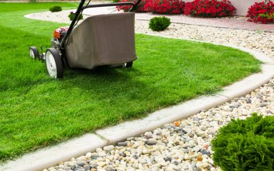 Concrete Curbing in Cambridge, WI: Stylish Solutions for Your Yard